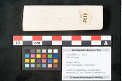 Foto (Objekt + Etikett) von Olea noti Unger (NHMW-GEO-2024-0188-8152)